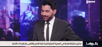 بانوراما حوصلة
